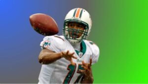 2007 Miami Dolphins